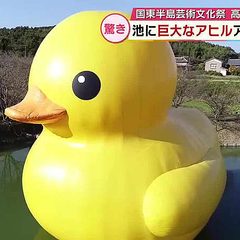 彣顡Ĺ11ε祢ҥоˡֻפäǤäǤϥ饤ȥåפ⡡ʬ