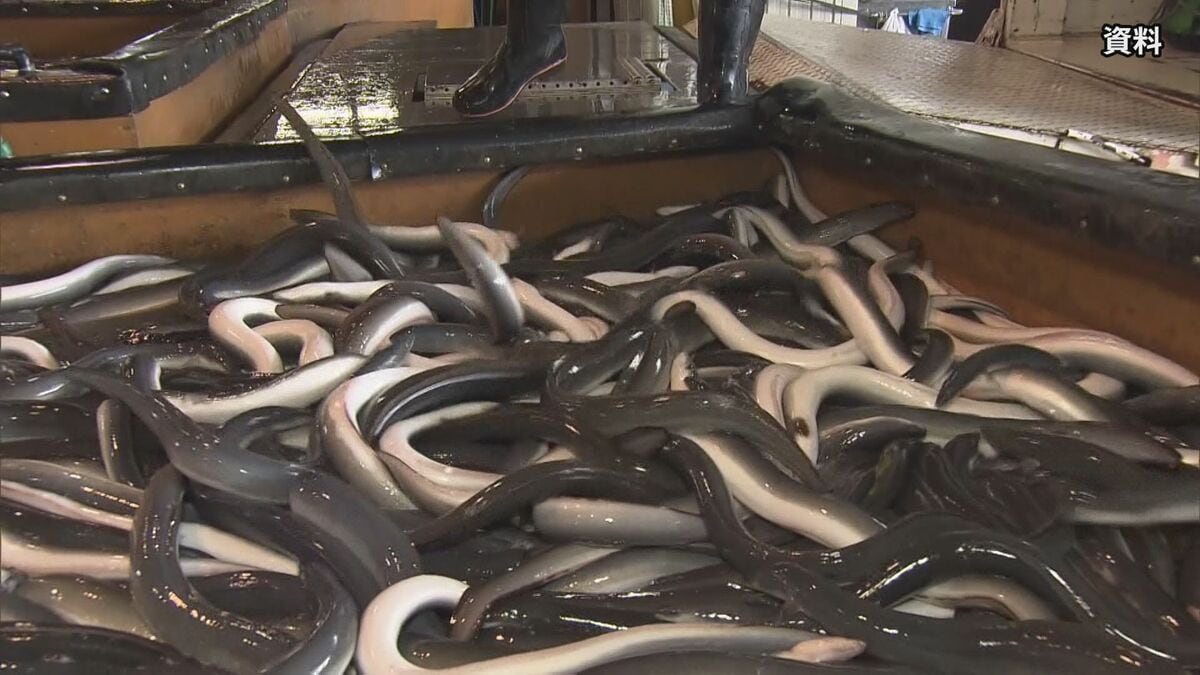 ウナギ全種類の取引規制「否決」