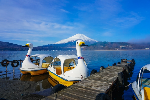 日本のレジャーの原風景『スワンボート』なぜここまで定着？爆売れさせた奇跡の改良…それは“しっぼ”