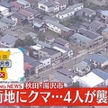 湯沢市街地にクマ 4人襲われケガ