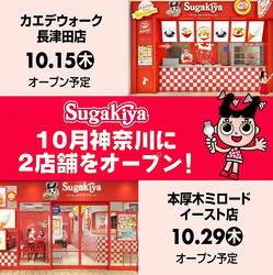 �֥�������״����ϰ�2Ź��Ϣ³�����ץ�