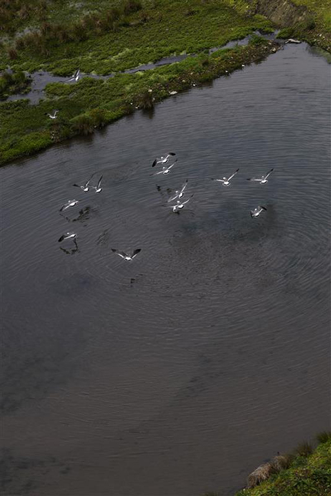 ̿ȤΩڵˤ̿Ÿֲʡϵꤨǡ