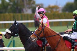 ���Ե�ǰ�����塼��ƥ�����ƣ��ͤ�𵳼� (C)masamasa