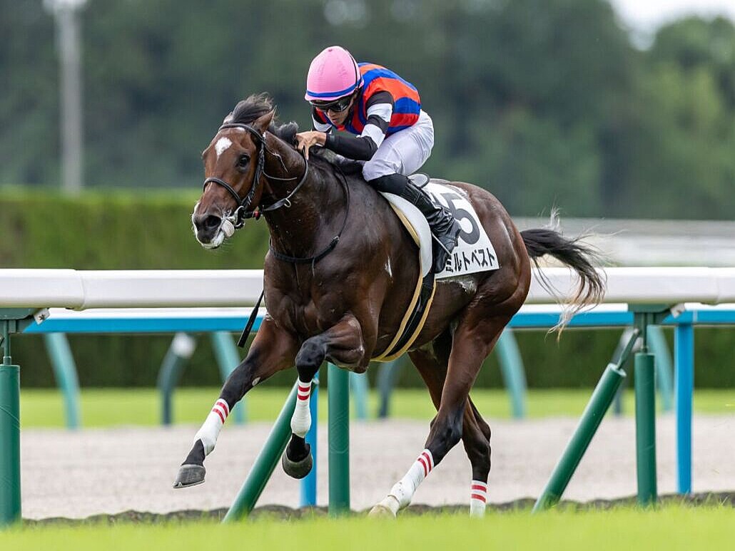 ファインニードルページ 新馬/京都4R】ファインニードル産駒 ミルトベストがデビューV (2025年