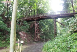 ��������̯�ʼ̿��򻣤ꡢư���ۿ����Ǥ��ʤ��ʤäƤ��ޤä��Ȥ����������������ޤǤˤϡ����勞���ꤲ�ʿ����֤�㬤⤢�ꡢ�Ե�̣��ʷ�ϵ���