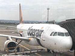 ���������������ѡ����Ѹ׹ҡˤιҶ���������̿�