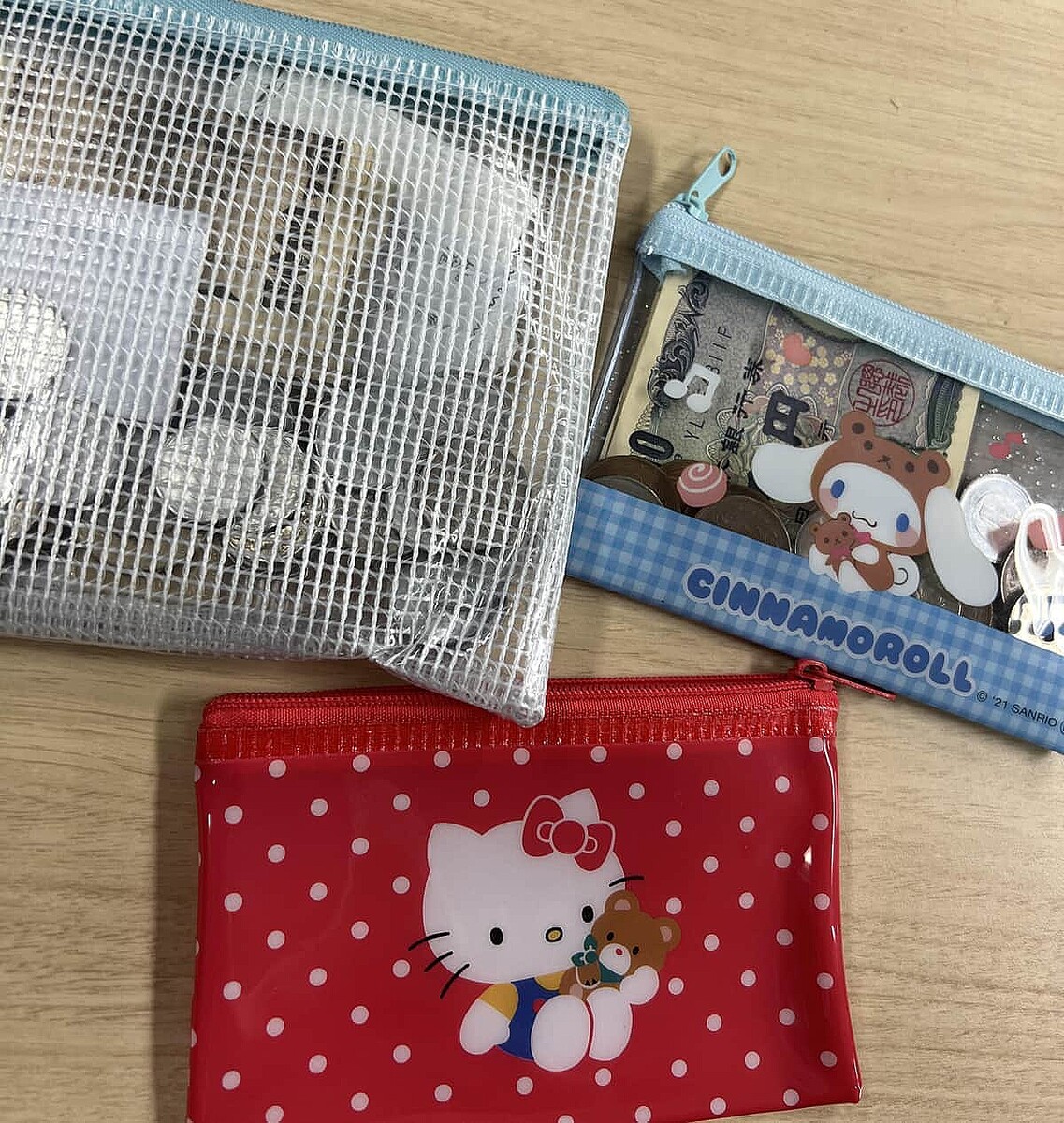 ビニールケースにお金入れる「100均財布界隈」増殖中...キーワードは「共感」、識者と背景を考えた (2025年1月31日掲載) - ライブドアニュース