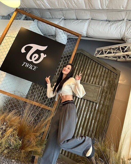 TWICE 5th World Tour トートバッグ　サナ痛バ TWICE 5th World Tour トートバッグ サナ痛バ