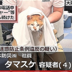 広報課長のネコを条例違反で 逮捕 企業のツイッターが話題 ライブドアニュース 広報課長のネコを条例違反で 逮捕 企業のツイッターが話題 ライブドアニュース
