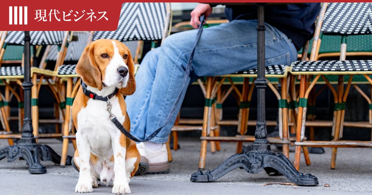 「ペット大国」のフランスに悲しい現実…飼育放棄、なくならない状況か