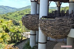 ジャングリア沖縄のパノラマダイニングにあるネスト席（鳥の巣）　撮影／編集部