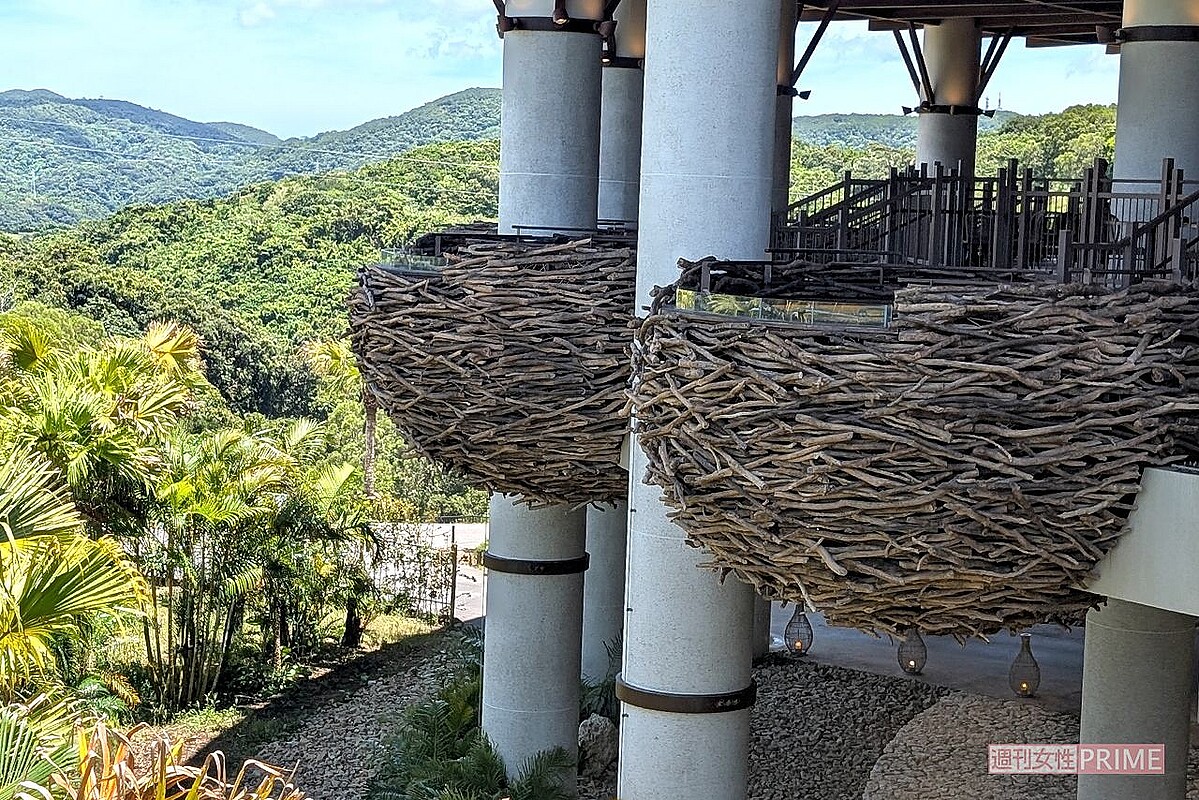 ジャングリア沖縄のパノラマダイニングにあるネスト席（鳥の巣）　撮影／編集部