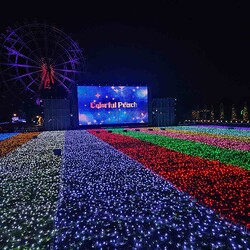 ����ưʪ����֥����󥿡�����ߥ͡������2025-2026�ס����Υ��ڥ���륷�硼��֥���ե�ԡ����פȤΥ���ܥ��٥�Ȥ�