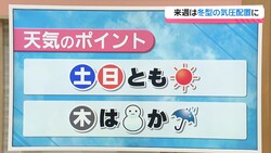 �ƥ�Ӷ���NEWS
