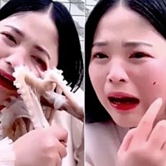 タコの踊り食い に挑戦した中国の女性 吸盤で逆襲され流血 ライブドアニュース タコの踊り食い に挑戦した中国の女性 吸盤で逆襲され流血 ライブドアニュース