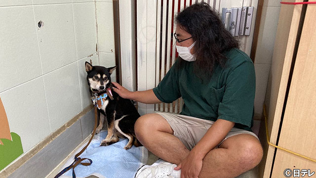 ロッチ 中岡 保護犬 かりん との距離は縮まるか ライブドアニュース