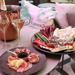 �ڥ���ץȥ󿷽�����ߥڥꥨ ���奨�۶˾�Υƥ饹�ץ��򤴾Ҳ��