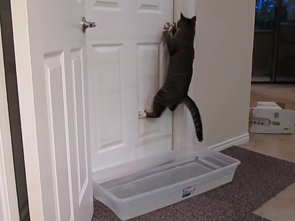 ����Ϥ�Υɥ��򳫤��Ƥ��ޤ��ĸ��������ǭ��