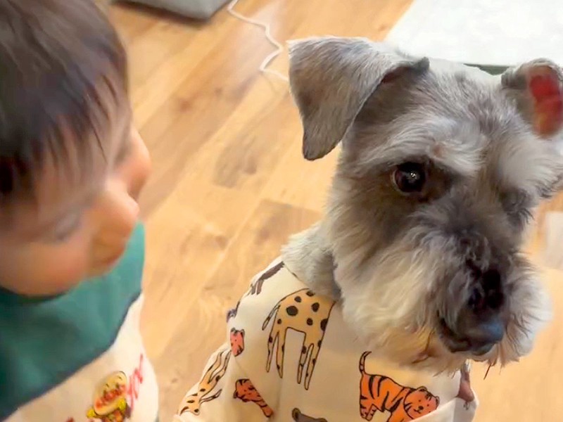 画像が削除されました