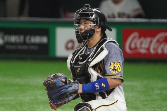阪神・梅野隆太郎【写真：荒川祐史】