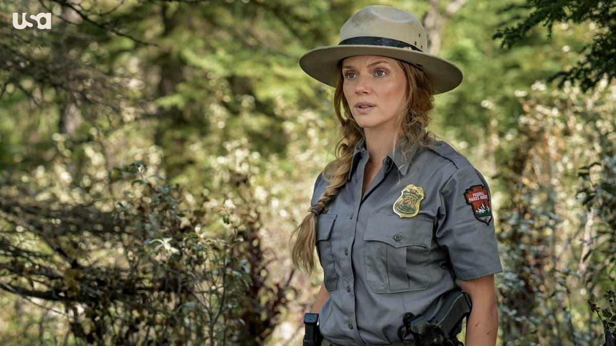 �إ����� P.D.�٥ȥ쥤���������ԥ�����������������ž������ߥ��ƥ꡼�Ǹ������礭�����ƤȤϡ�