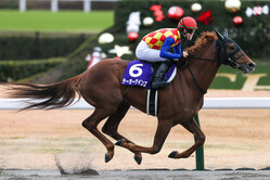 �ơ����������󥺡ʥ����ԥ���C����(C)Yushi Machida