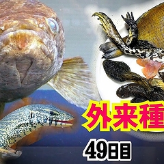 �֥��ꥬ����ä��Τˡġ׶ðۤο��ߡ�����糧�åȤ���������饤����ο��٤äפ꤬������