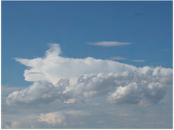 ������ξ�ˡ�ķ�ͤ���ɡ� ��¿���֥����ԥ󥰥�ー�饹�פȤϡںǿ��ι�ݴ��Ǹ��櫓�� ���ο޴ա�