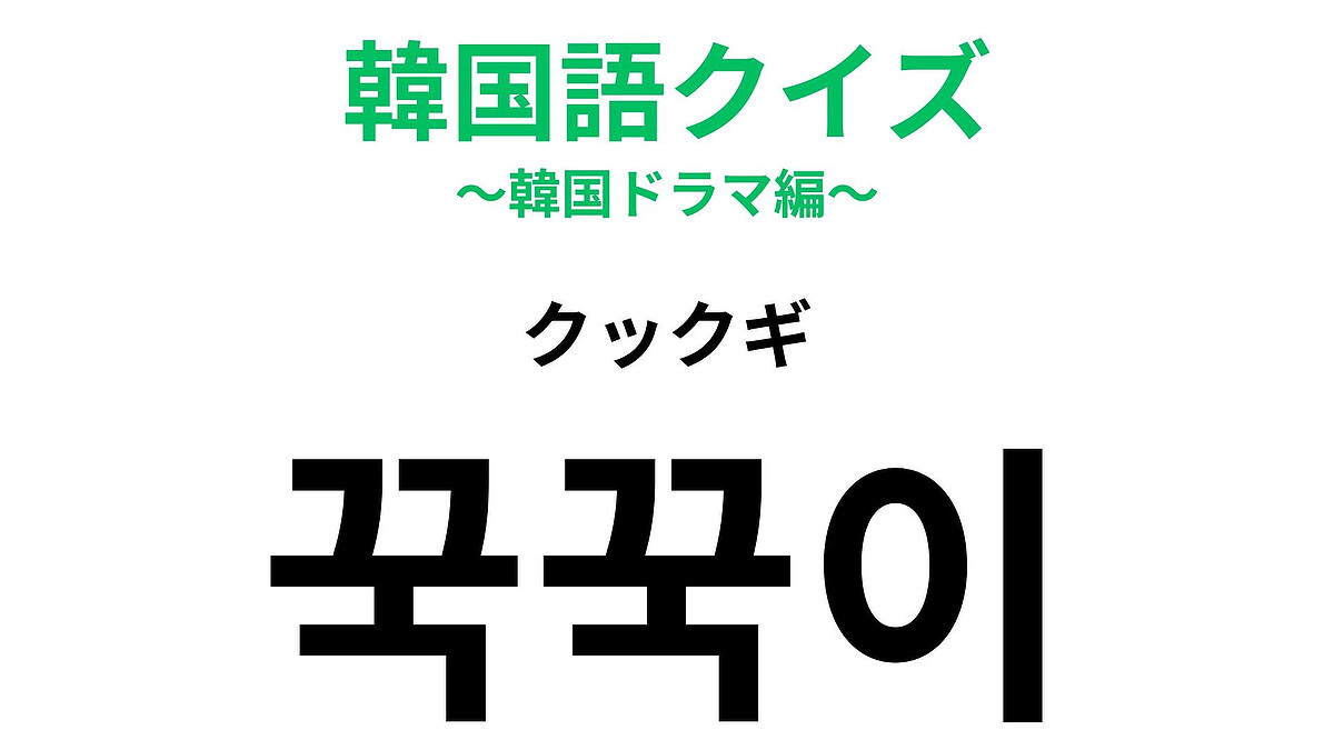【韓国語クイズ】「꾹꾹이(クックギ)」の意味は?猫好きなら知りたい表現!