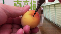 ���ʤ��褦�ˡ�������٤���Twitter������Ρ��ߴ���������Ҥ��륳�ġפ������ŷ�������ʹ���Ƥߤ�