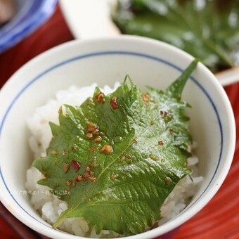 和製ハーブ「大葉」がおいしい季節に作りたい!保存版ひと手間アレンジ