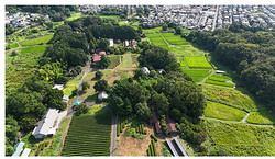 �ֿ�����¼�����ʲ�������C�˾���������