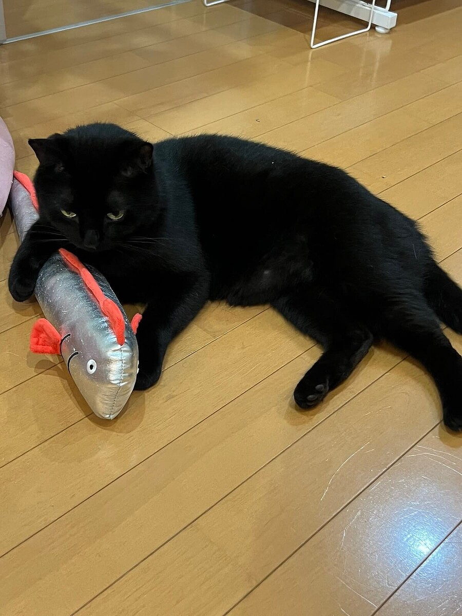 ��奦�����Υĥ�������ー�դˤ������ꤰ��ߤ��������ǭ�����