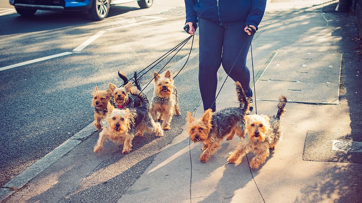 令和に増える「働かない」新富裕層の実態…1日5回犬の散歩、平日昼下がりの丸の内でお茶　特徴は「ヒマ」