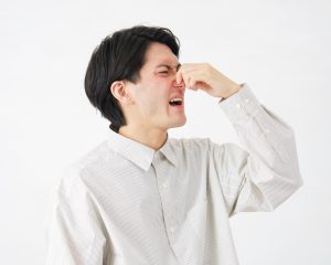 画像はイメージです