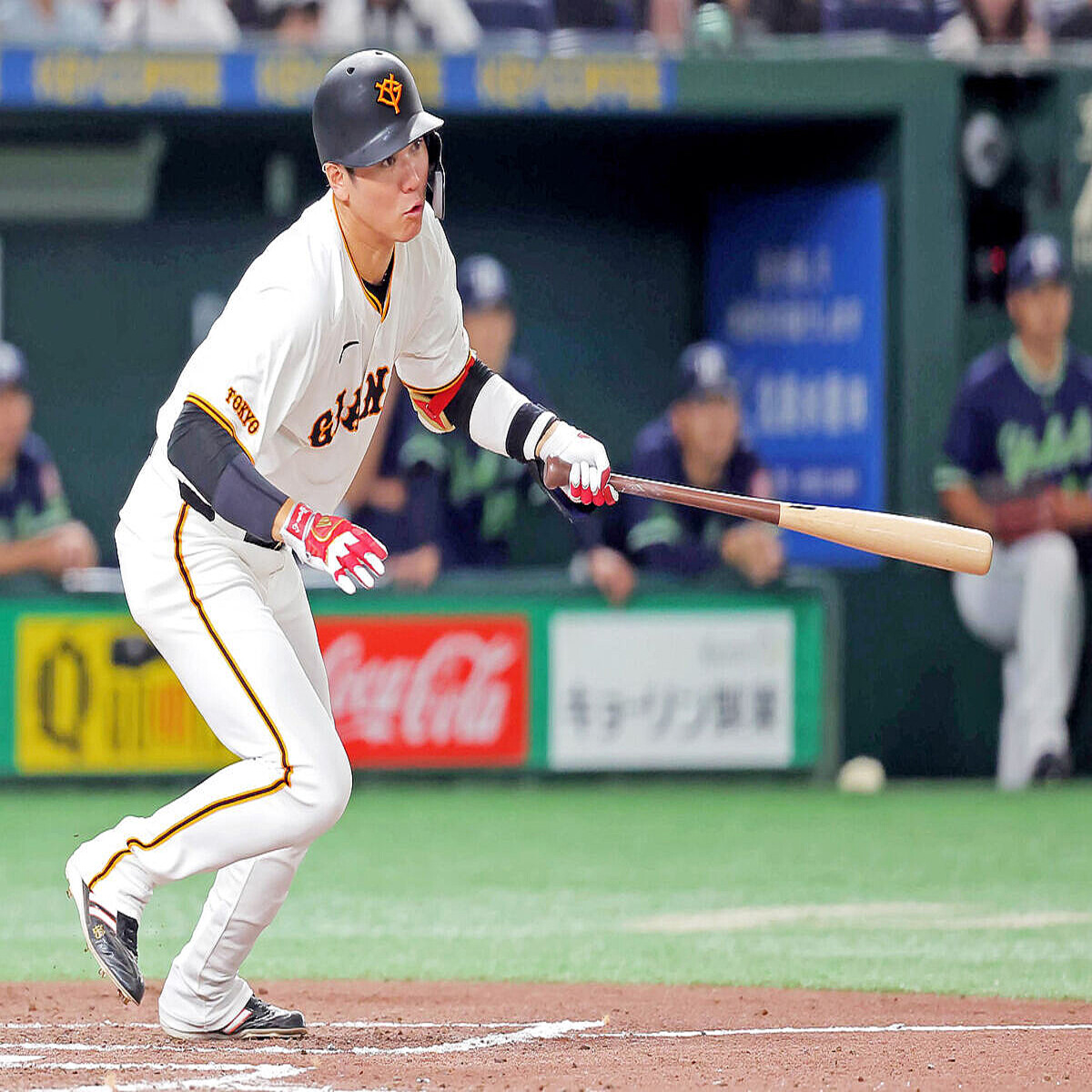 皆様画像確認用 ③ シェリー ダフォディルタイム 水仙 風景画 カップ