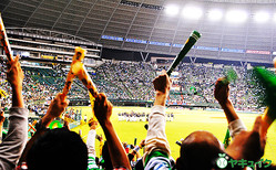 12���ĥ���˥��ȡ��ʥ���2019�о��������