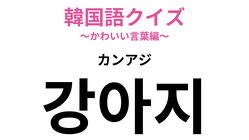 ��강아지�ʥ��󥢥��ˡפΰ�̣�ϡ��ҥ�Ȥϰ����뤷������������ΤǤ�♡�ڴڹ�쥯������