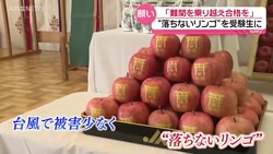 ABS��������