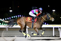 ��������ޡ��ƥ󥫥��祦�Ⱦ�����ʿ���� (C)Hiroki Homma