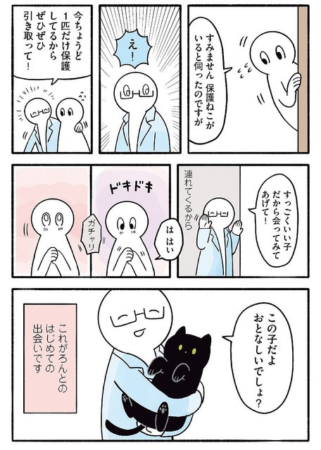 私にとって永遠にかわいい子どもみたいな存在 黒猫ろんと暮らしたら 著者が語る 幸せにあふれる猫との毎日 ライブドアニュース