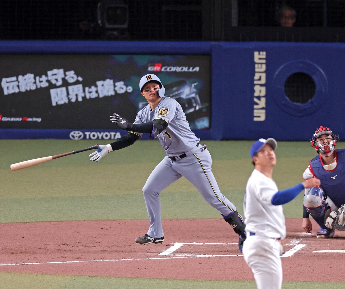 ���󡢥��������Ŀ����ʻ��ơ�Ω���ΰ�Ϻ��