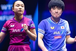 ��ƣ������ĥ�����¡�C��WTT