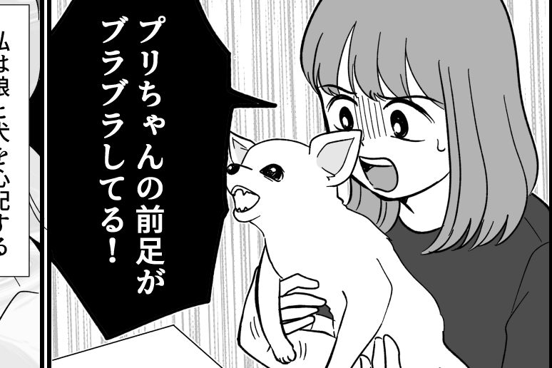 「犬がきっかけで離婚!?」「犬アレルギーなのに実家に連れてくる姉」…愛犬トラブル