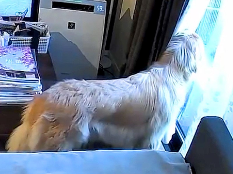 画像が削除されました