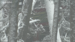 æ����žʤ������ξ������10��Ⱦ������