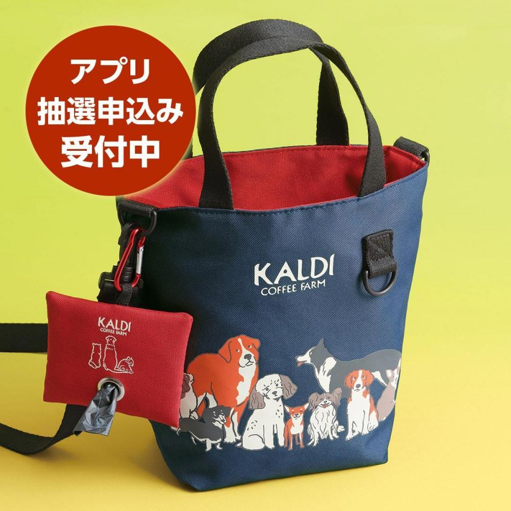 ֤̤ݥХåפ䤬 ץǤλ