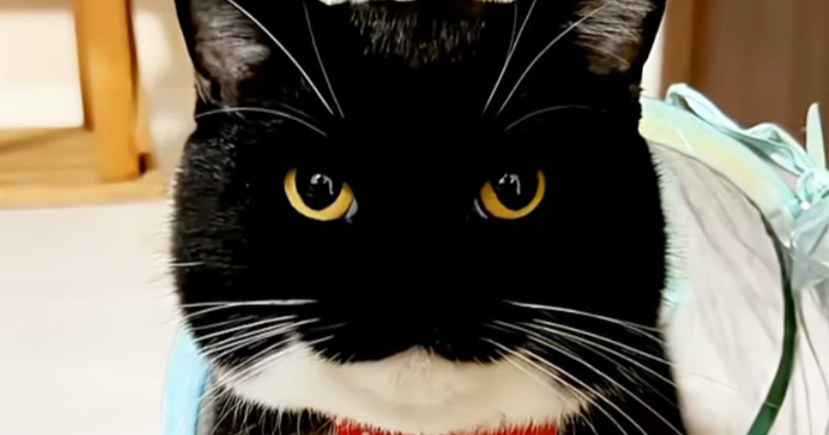 �ޤ�ޤ뤪����ǭ�����֤������ä����٤���٤Ƥߤ����ȿ§��βİ����ˡֵ��䤷�����ˤʤä��סֺ��ϥϥ󥵥���͡פ�21������