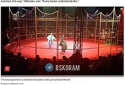 ���ޤȰ��˥ѥե����ޥ󥹤���Ϫ����Ĵ���ա����θ塢���ޤ�ɿ�Ѥ���Ĵ���դ˽��������ä��ʡ�New York Post����Circus performance goes horribly wrong when triggered bear mauls trainer in front of terrified children: ��Snapped�ǡס�Bskgram/east2west news�ˡ٤���