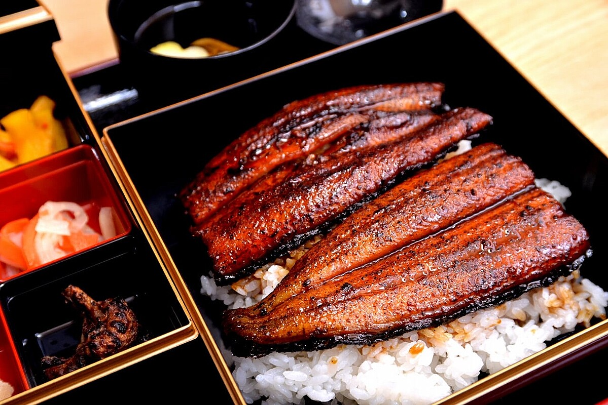 「ウナギ」が他県を圧倒する理由 名水と温かさが要因か